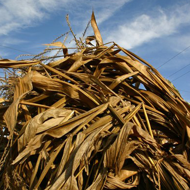 1712884074164926.jpg 郭老師-25.jpg